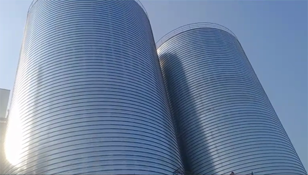 浑江2座混凝土高架卷板仓